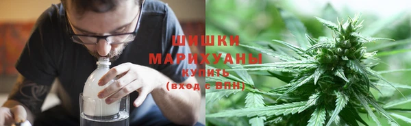 дурь Бородино